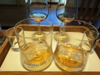 luxury cognac tours - Wine Paths